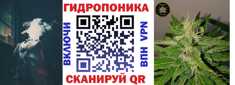 Купить наркотик аптеки Алагир Гашиш  mega зеркало  Кетамин  МАРИХУАНА  Меф  Псилоцибиновые грибы  СОЛЬ 