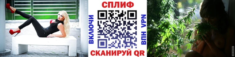 Шишки марихуана план  закладки  сайты даркнета наркотические препараты  Алагир 